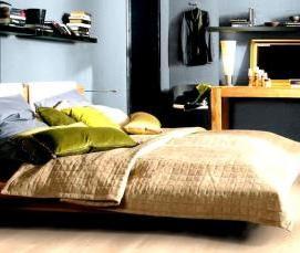 Ламинат Дуб Кремовый - модель 4