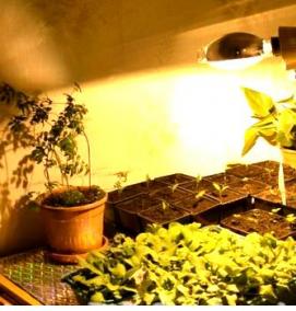 Лампа для рассады - модель 4