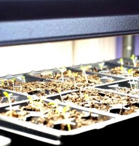 Лампа для рассады - модель 3