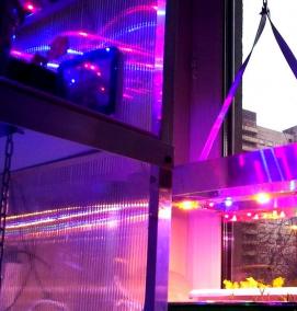 Лампы для освещения рассады - вариант 4