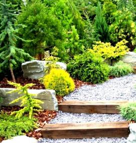 Ландшафтный деревянный дизайн - вариант 4