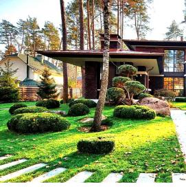 Ландшафтный деревянный дизайн - вариант 3