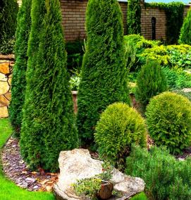 Ландшафтный дизайн большого участка - вариант 3