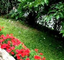 Ландшафтный дизайн цветочных клумб - тип 3