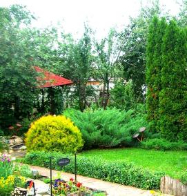 Ландшафтный дизайн дачного участка - вариант 1