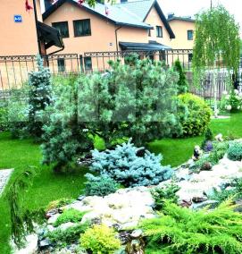 Ландшафтный дизайн хвойного участка - модель 3