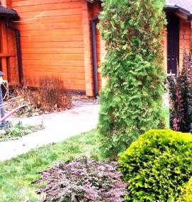 Ландшафтный дизайн хвойных кустарников - тип 3