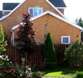 Ландшафтный дизайн крыльца дома - вариант 3