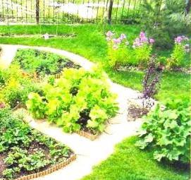 Ландшафтный дизайн огорода - модель 4