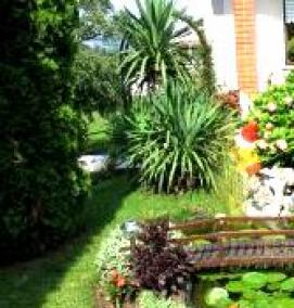 Ландшафтный дизайн палисадника - вариант 4