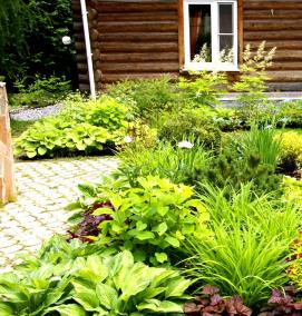 Ландшафтный дизайн прямоугольной клумбы - вариант 3