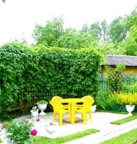 Ландшафтный дизайн участка 6 соток - вариант 3