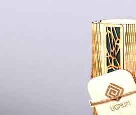 Лазерная резка 2 мм - модель 4