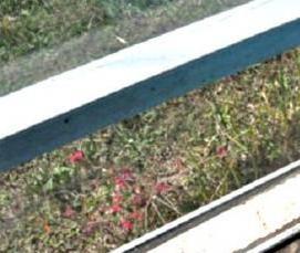 Легкие пластиковые окна - вариант 1