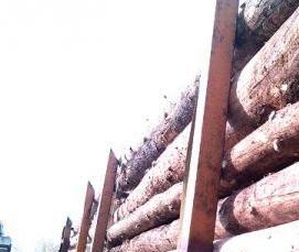 Лес кругляк Ель - тип 2