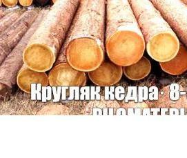 Лес кругляк Кедр - тип 3