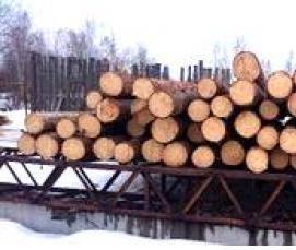 Лес кругляк Лиственница - тип 1