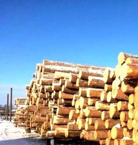 Лес кругляк Пиловочник - вариант 2