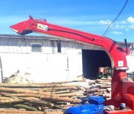 Лес кругляк Сухостой - модель 4