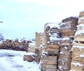 Лес кругляк Сухостой - модель 3