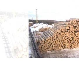 Лес кругляк Тонкомер - модель 1