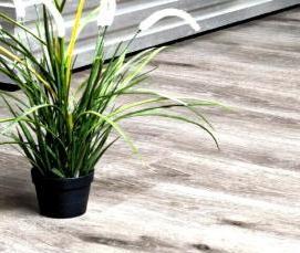 Линолеум Дуб Дымчатый - вариант 2