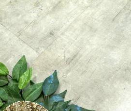 Линолеум Джакарта 1 - модель 2