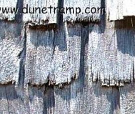 Линолеум Колибри 6 - вариант 2