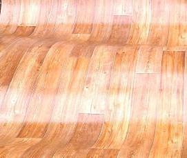 Линолеум Торонто 2 - вариант 3