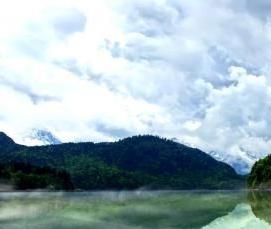 Линолеум Ultra Clear 7383 - вариант 1