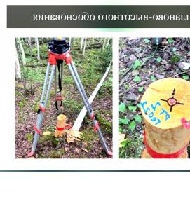 Маркшейдерско-геодезические работы - модель 1