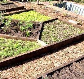 Материал между грядок - модель 4