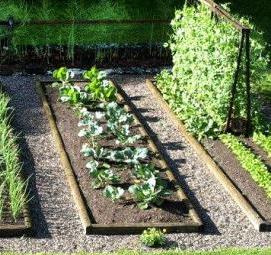 Материал между грядок - модель 3