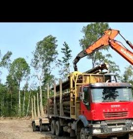 Мдф Латат - модель 4