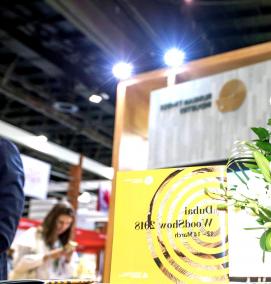 Мдф Латат - модель 3