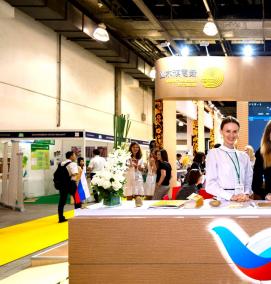 Мдф Латат - модель 2