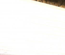 Мдф Лиственница - тип 2