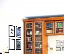 Мебель на заказ: книжный шкаф - тип 1