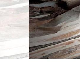 Мебельный щит Орех - модель 1