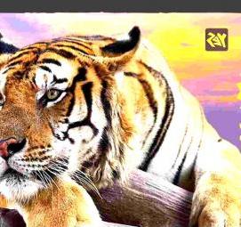 Металлический лист с перфорацией - вариант 1