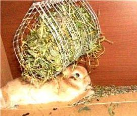 Металлоконструкция стеллаж с клетками для кроликов - вариант 4