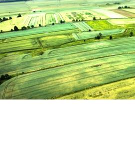 Межевание - вариант 1