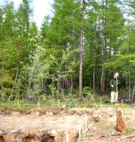 Межевание границ земельного участка - тип 3