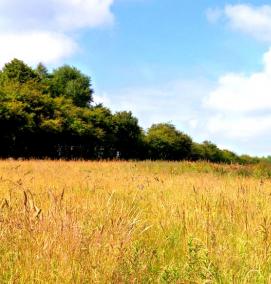 Межевание земельного участка - модель 2