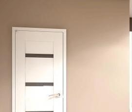 Межкомнатные двери шпон белый - тип 1