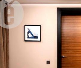 Межкомнатные двери шпон белый - тип 3