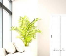 Межкомнатные складные двери экошпон - модель 2