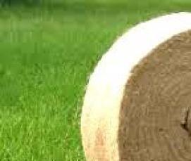 Межвенцовый утеплитель для бани - вариант 3