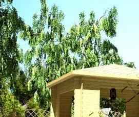 Мини беседка деревянная - модель 1