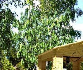 Мини беседки для дачи - модель 1